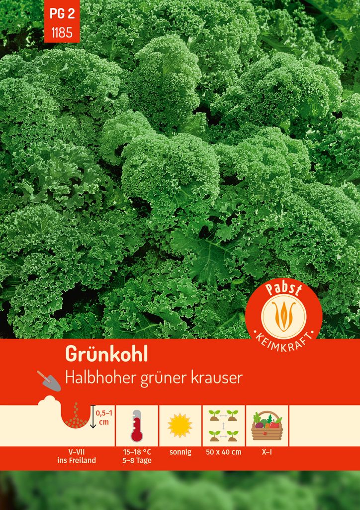 Pabst Keimkraft - Grünkohl halbhoch & gekraust Halbhoher Produktbild 