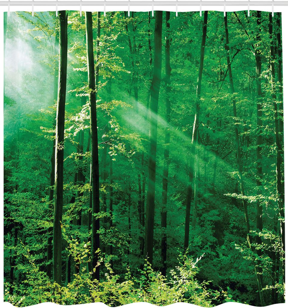 ABAKUHAUS Wald Duschvorhang, Sonnenstrahlen, Die In Den Wald Bäume Laub Misty Morning Serenity Bild Platzen, Stoffliches Gewebe Badezimmerdekorati...
