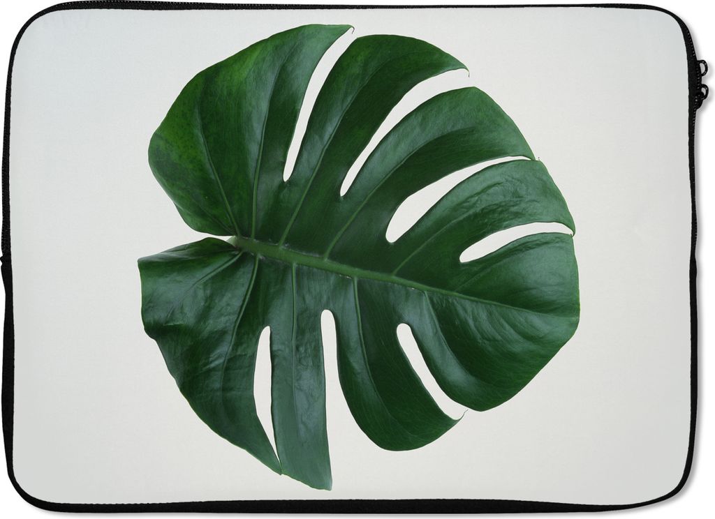 MuchoWow Laptop Hülle 13 Zoll Monsterblatt auf weißem Hintergrund Laptoptasche - Laptophülle - Sleeve - Rundumschutz