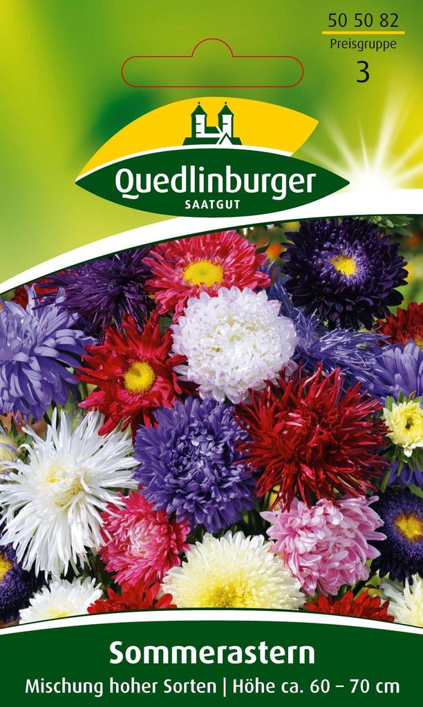 Quedlinburger Saatgut - Sommer-Astern Mischung hoher Sorten Produktbild 