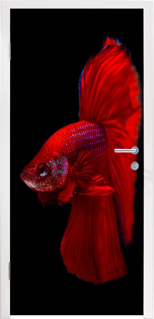 MuchoWow Türtapete Selbstklebende Türfolie Fische - Tiere - Rot 95x215 cm Türposter Türaufkleber Klebefolie Türklebefolie - Tür Tapete - Pl...