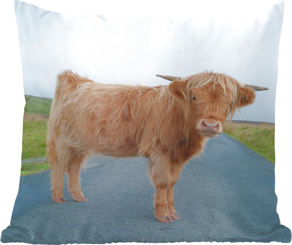 MuchoWow Zierkissen Sofakissen Wohnzimmer Dekokissen 60x60 cm Scottish Hochlandrind - Straße - Gras - Sitzfläche - Foto Polster