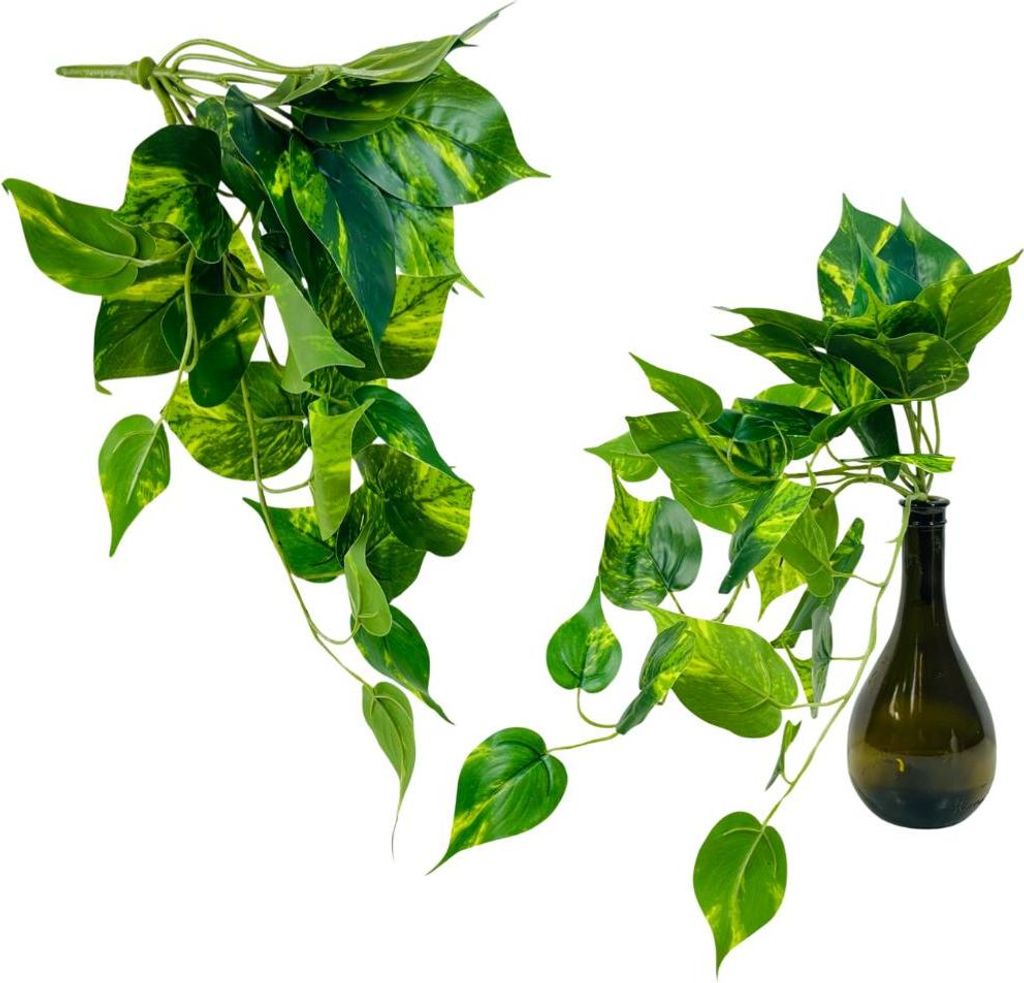 Grüner Philodendron - Strauß hängender Blätter, Stiel - 45 cm
