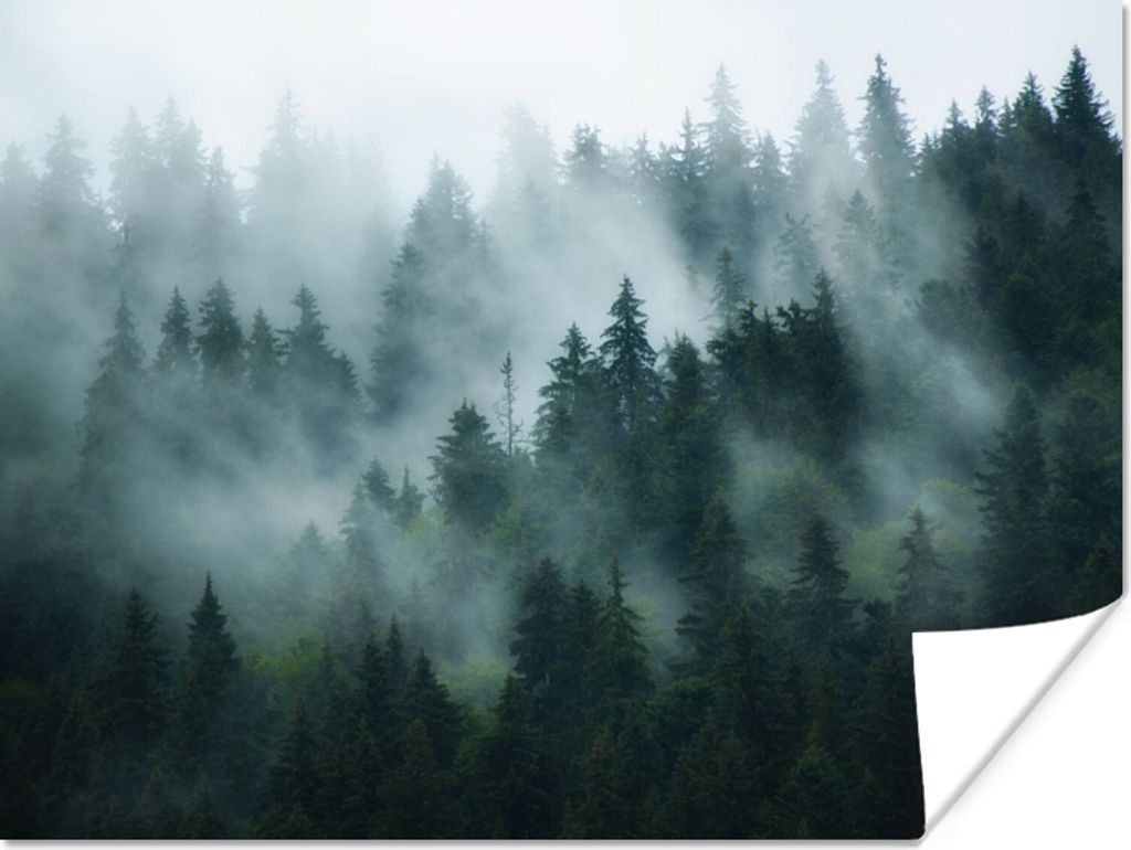 MuchoWow Poster Nebel - Bäume - Wald 120x90 cm - Wandbild