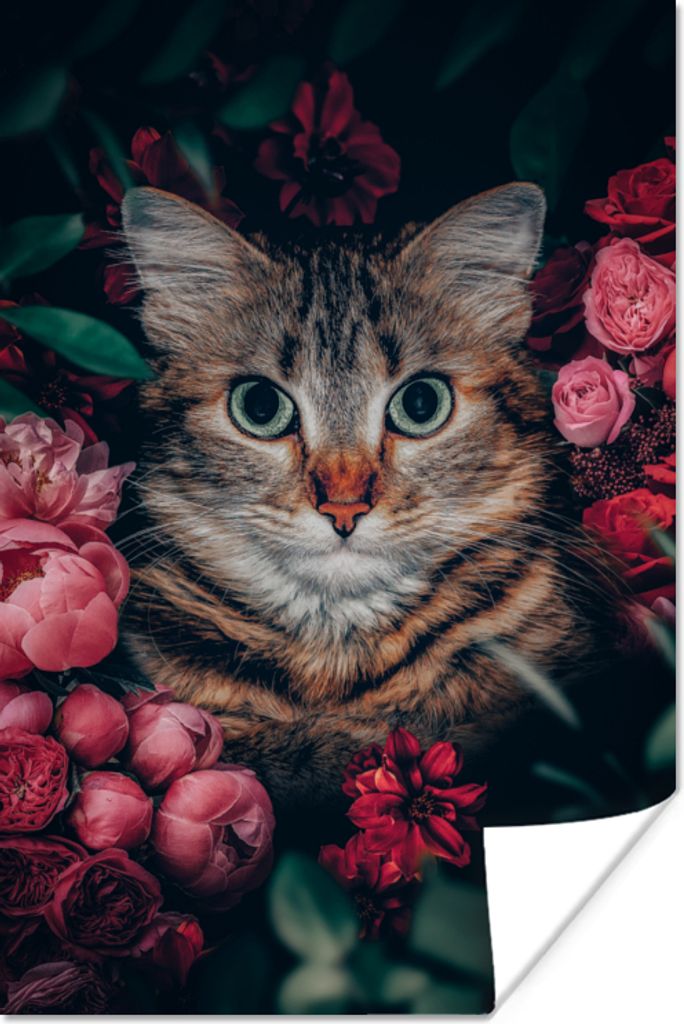 MuchoWow Poster Katze - Blumen - Tiere - Botanisch 60x90 cm - Wanddekoration