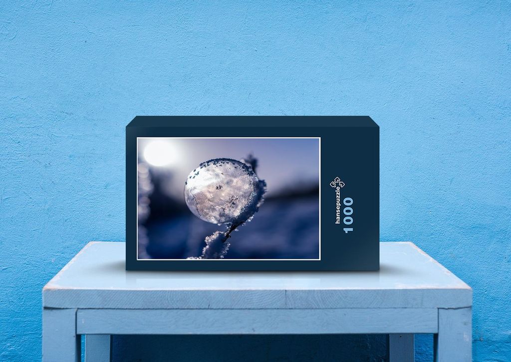 hansepuzzle 27121 - Gefrorene seifenblase Puzzle, 1000 Teile, Natur, 60,0 x 46,0cm mit hochwertiger Aufbewahrung, Kartonbox & Beutel