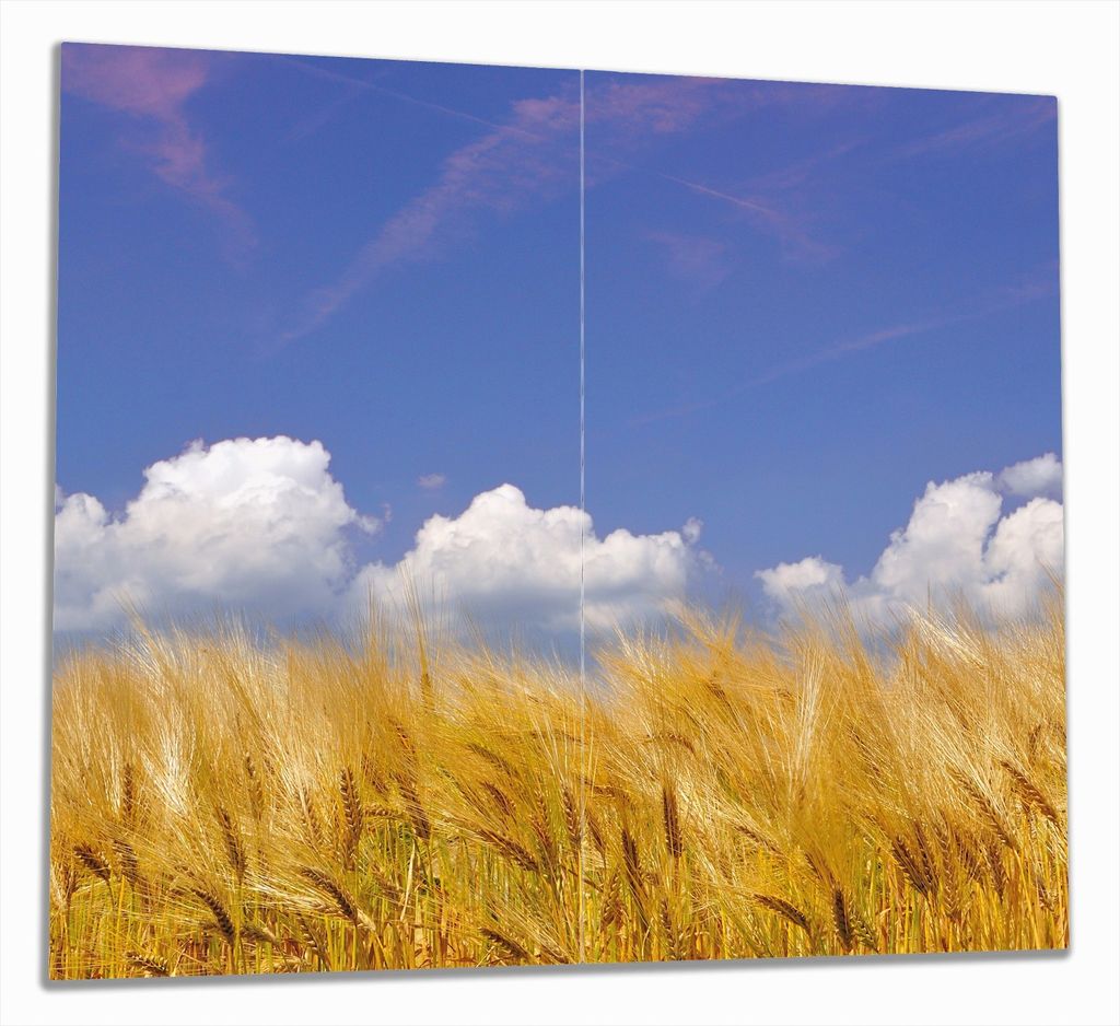 Wallario Herdabdeckplatte aus Glas, Größe 60 x 52 cm 2-teilig, Motiv Kornfeld unter blauem Himmel