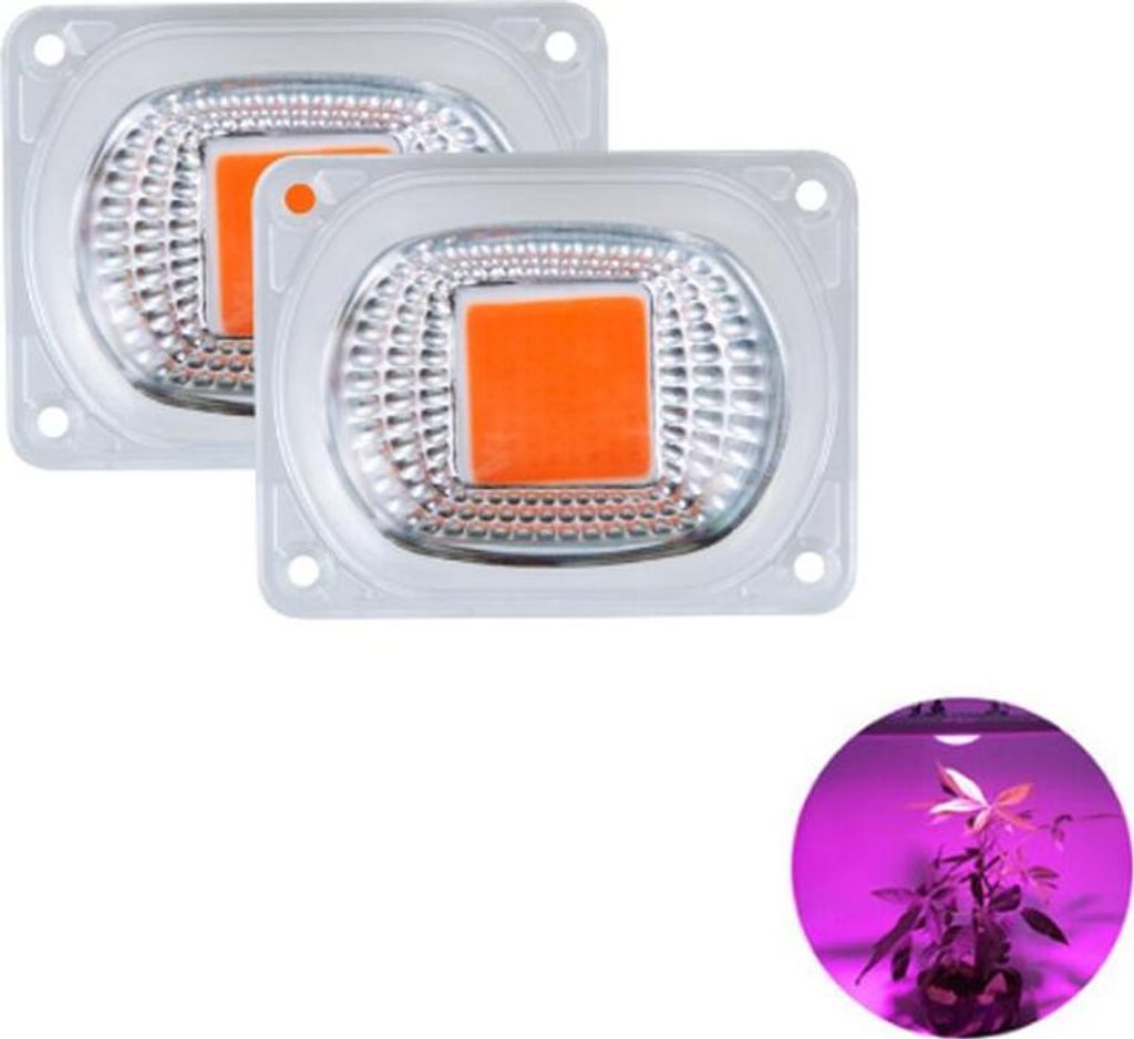 Failed to translate text.