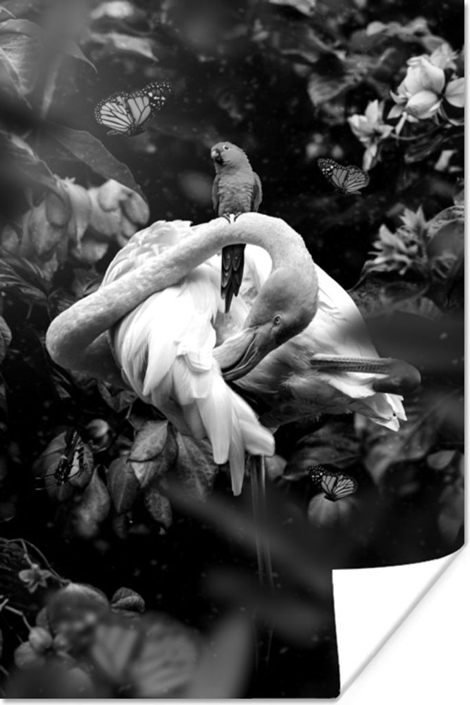MuchoWow Poster Flamingo und ein Vogel im Dschungel - schwarz und weiß 80x120 cm - Papierdruck