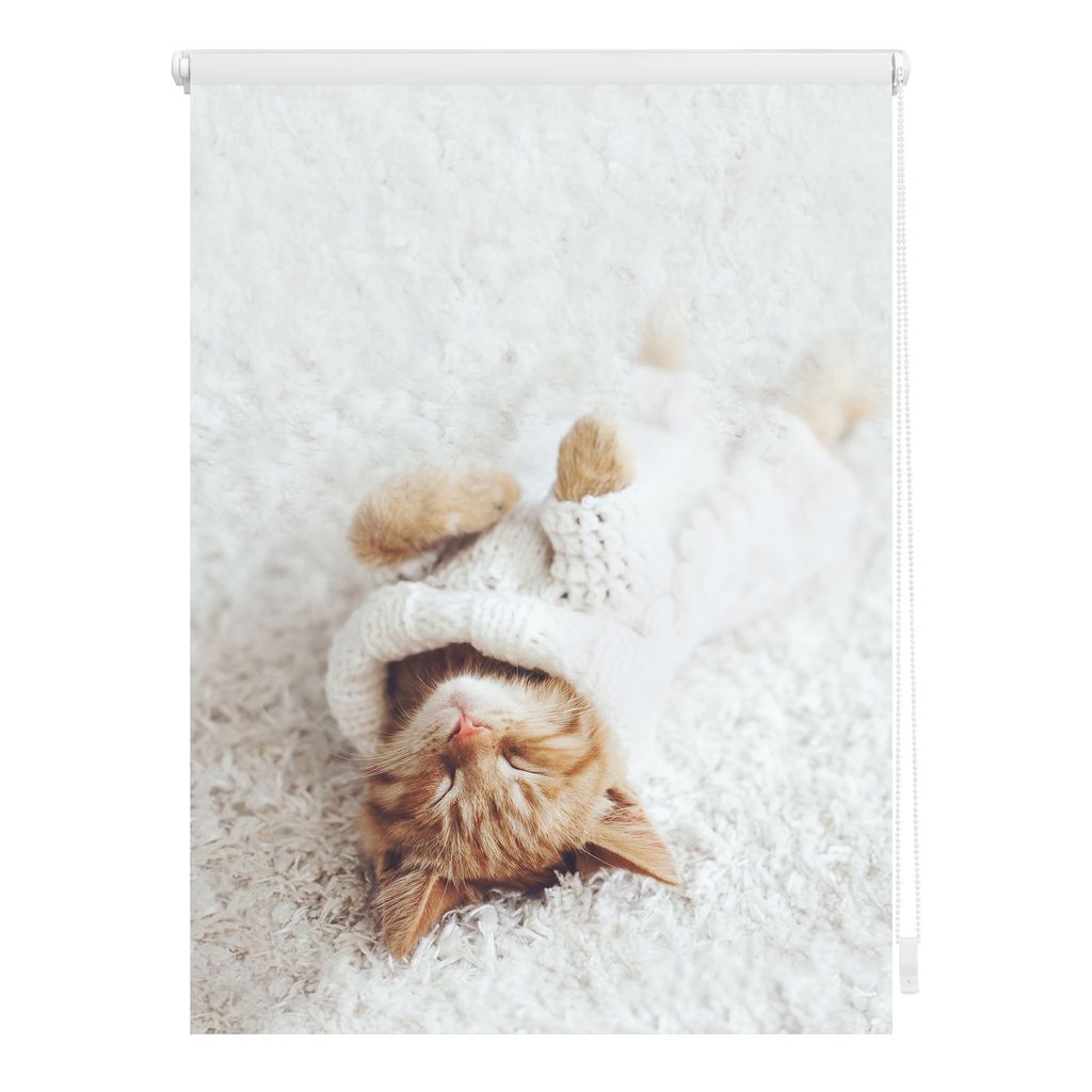 Lichtblick Rollo Klemmfix, ohne Bohren, Verdunkelung, Sleepy Cat - Weiß 70 x 150 cm (B x L)