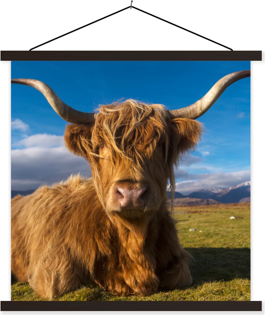 MuchoWow Textilposter Schottische Hochlandrind - Tiere - Gras 60x60 cm mit schwarzem Rahmen - Posteraufhänger