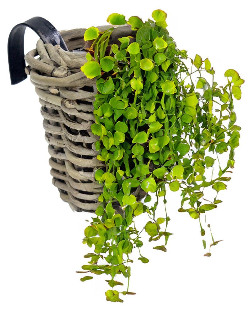 VAN DER LEEDEN Einhängekorb Rund Grau Ø 15 cm mit Produktbild 