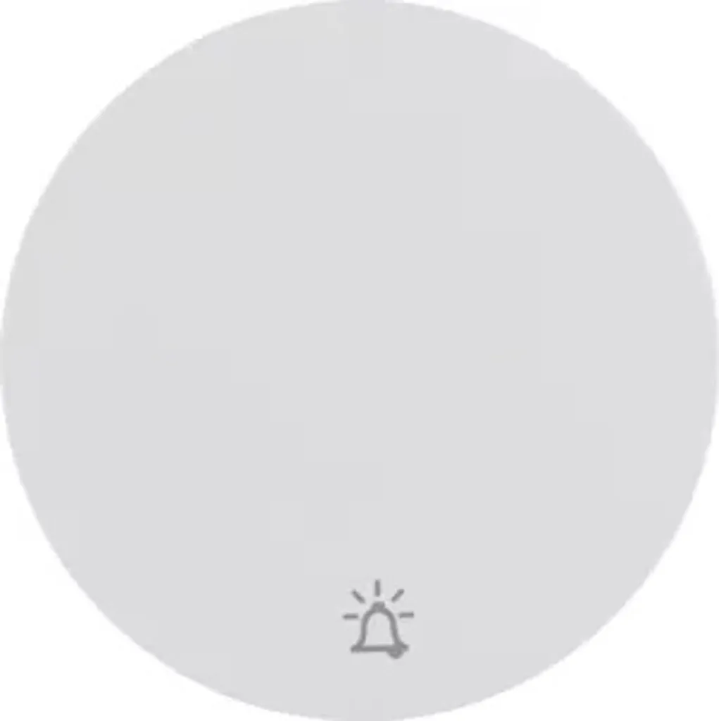Remplacement bascule sonnette Berker 16202069 blanc polaire pour R.1