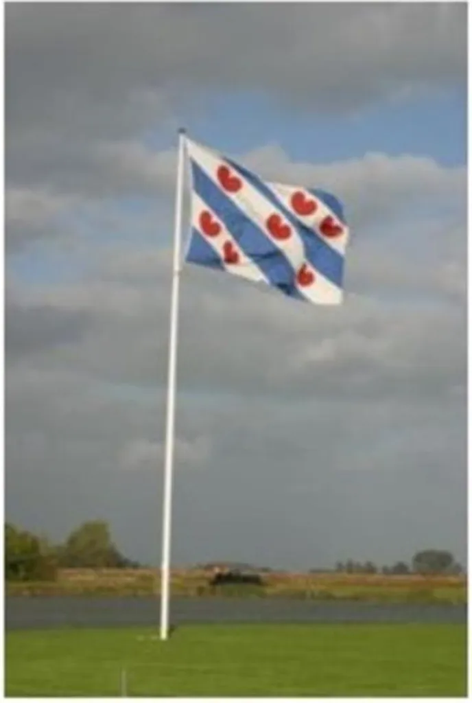 Drapeau SB Friesland 1 x 1,5 m de Haute Qualité avec Œillets Métalliques