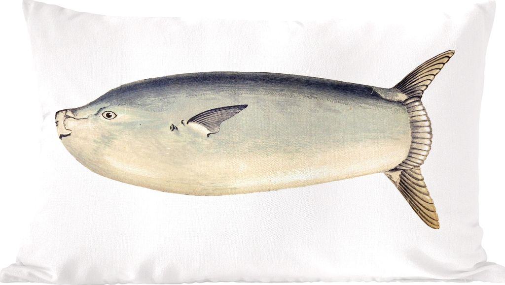 MuchoWow Zierkissen Sofakissen Wohnzimmer Dekokissen 50x30 cm Fische - Realismus - Mondfisch - Wohnzimmerdekoration - Polster mit Photo