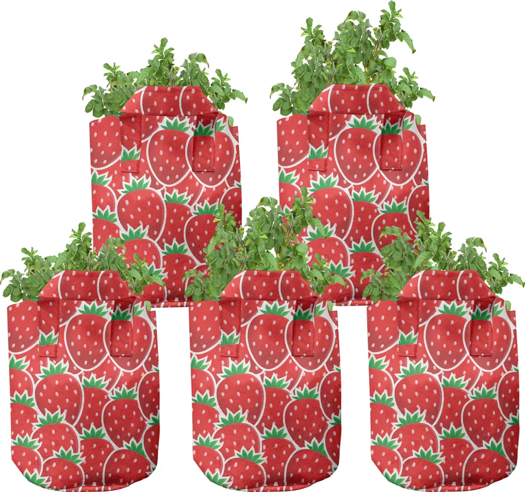 ABAKUHAUS Pots de culture 5 gallons Yummy Strawberry Botanik en lot de 5
