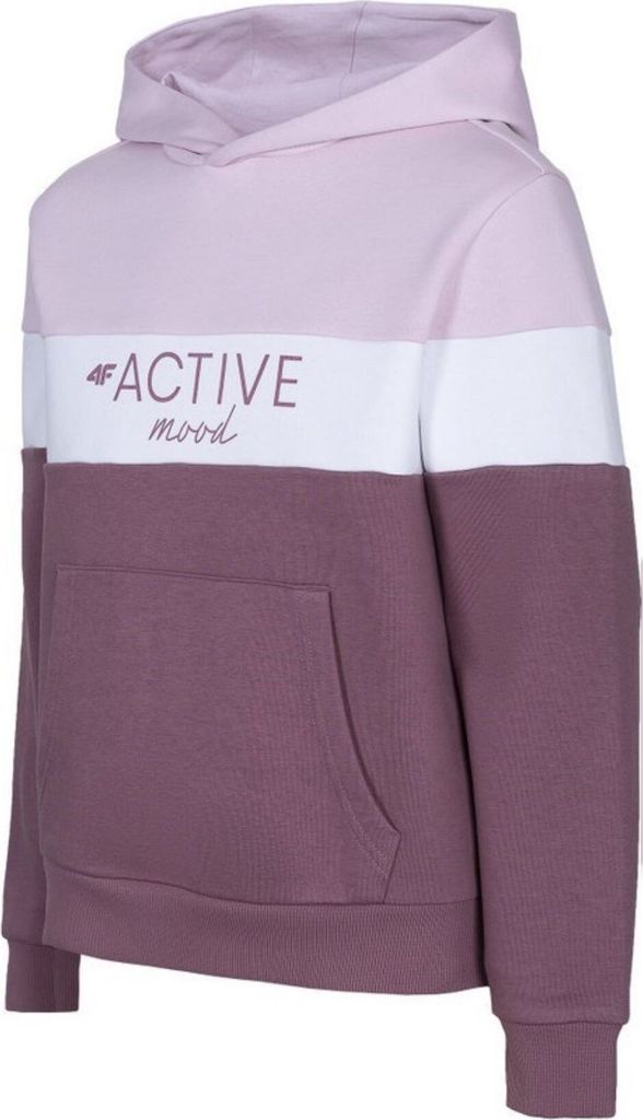 4F Sweatshirts JBLD002, HJL22JBLD00260S, Größe: 128