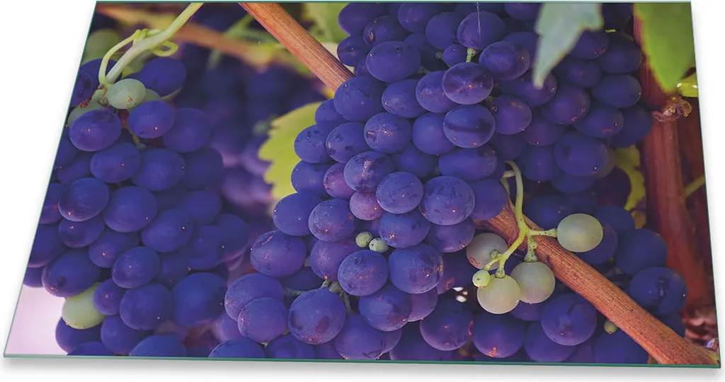 Copri Piano Cottura 80x52 Vetro Temperato Frutta Blu - Protezione Cucina