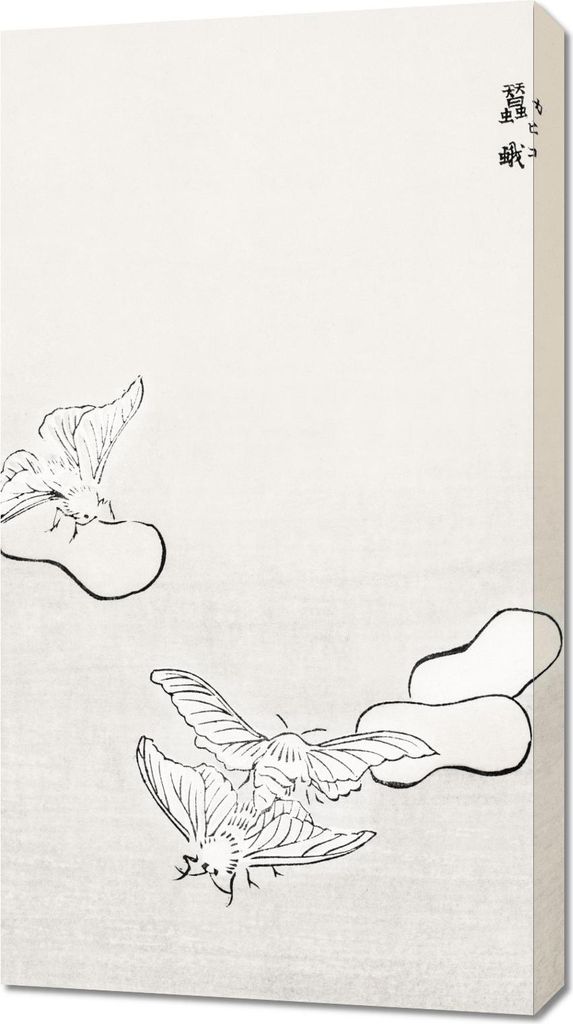 Bild 50x90cm Motten Illustration Morimoto Toko Japanisch Vintage für das Wohnzimmer