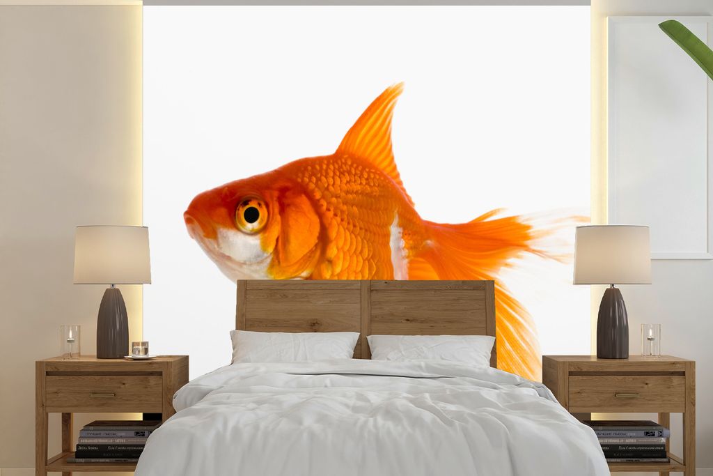 MuchoWow Fototapete für Wohnzimmer oder Schlafzimmer Wandtapete Vinyl Motivtapete Goldfisch - Fisch - Weiß - 240x240 cm - Schlafzimmer-Tapete