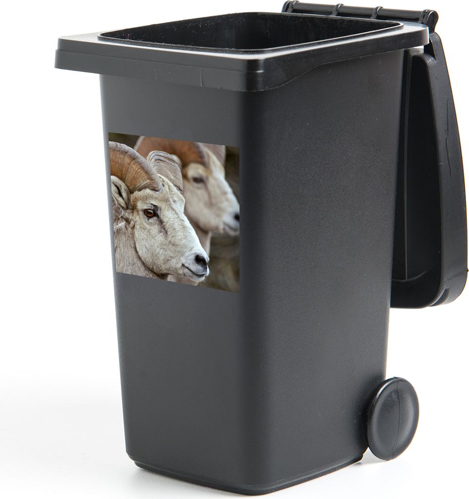 MuchoWow Mülltonnenaufkleber Widder - Horn - Schaf 40x40 cm - Abfall-Aufkleber - Container - für Abfallcontainer