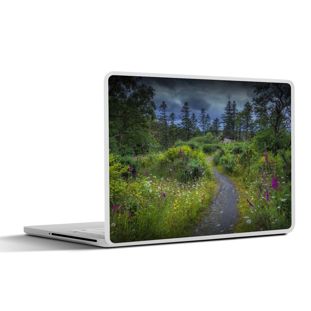 MuchoWow Laptop Aufkleber Sticker Cover Sommerwiese auf der Lewis-Insel 40x30 cm - Laptop Dekoration - Selbstklebend