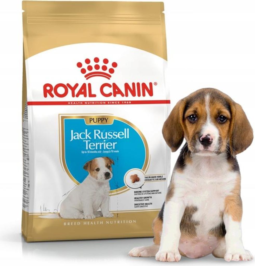 Royal Canin Jack Russell Junior, Welpe, Jack Russell Terrier, Klein (5-10 kg), Geflügel, Reis, 3 kg