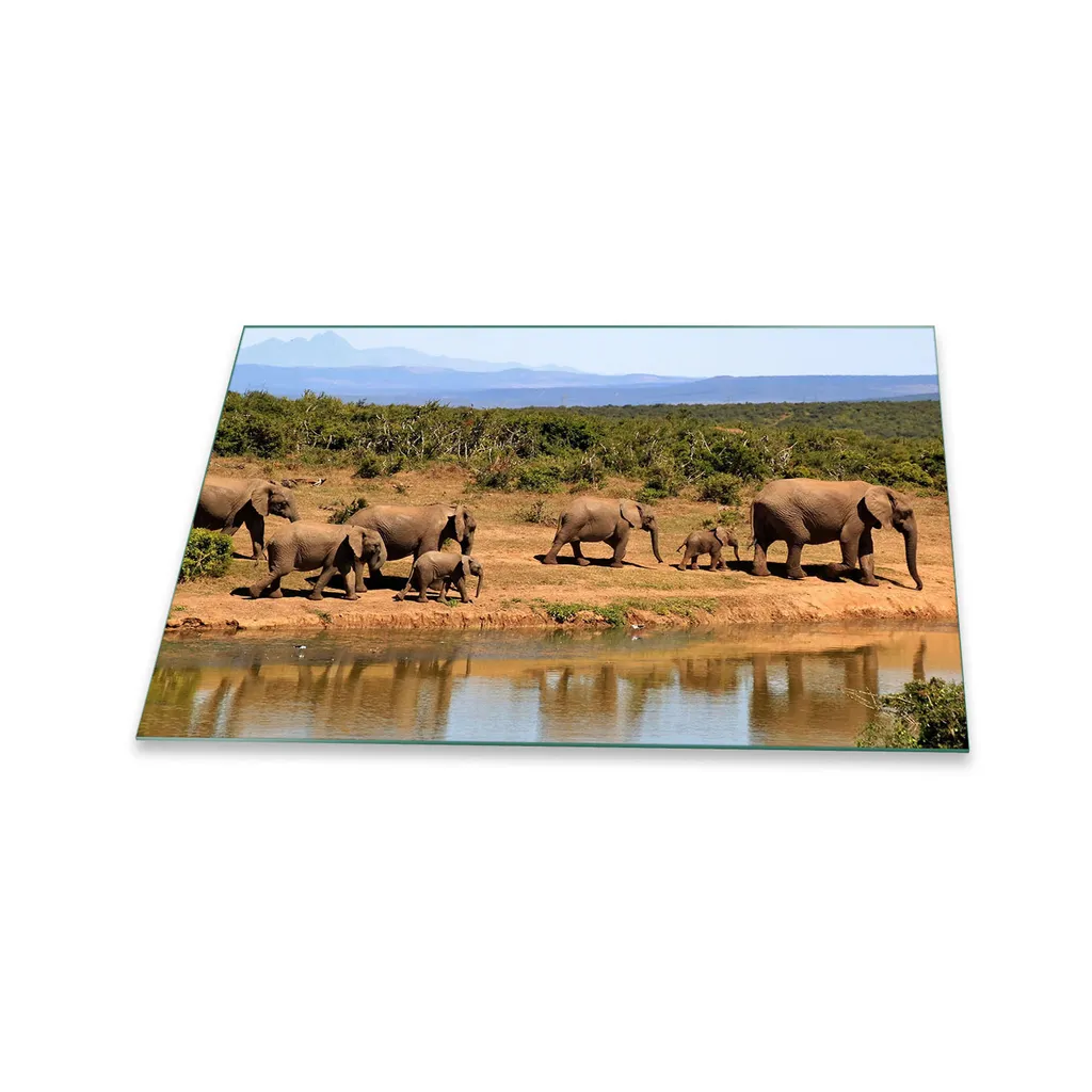 Tagliere Vetro 80x52 Elephant Brown Copri Piano Cottura Artistico