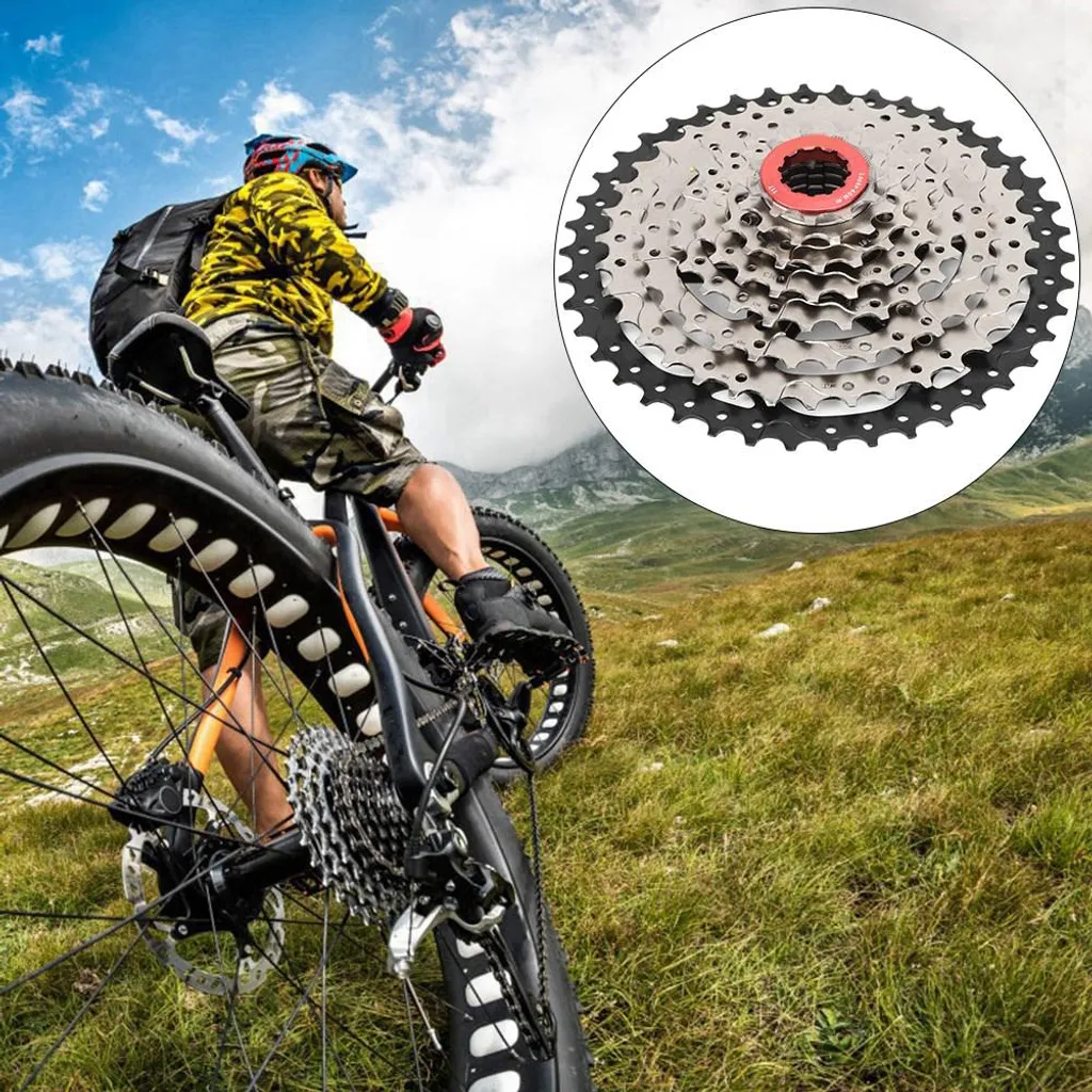 Roue Libre 8 Vitesses pour Vélo - Cassette 42T Compatible VTT et Route