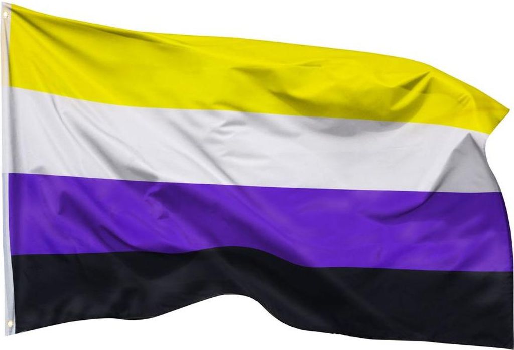 PHENO FLAGS Nichtbinär Flagge 90 x 150 cm Nicht Binär Fahne Produktbild 