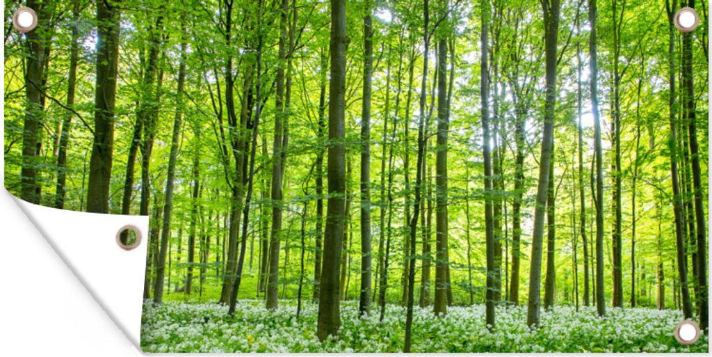 MuchoWow 60x30 cm Outdoor-Poster Gartendeko Sichtschutz Garten Poster für den Garten Wald - Bäume - Grün