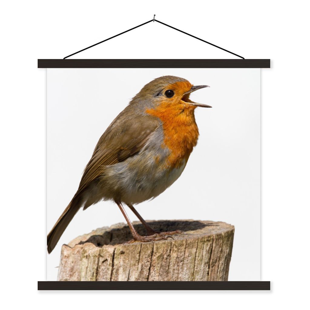 MuchoWow Textilposter Rotkehlchen - Vogel - Holz 40x40 cm mit schwarzem Rahmen - Fotos