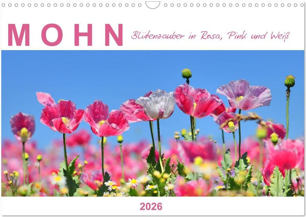 Mohn, Blütenzauber in Rosa, Pink und Weiß (Wandkalender 2026 DIN A3 quer), CALVENDO Monatskalender