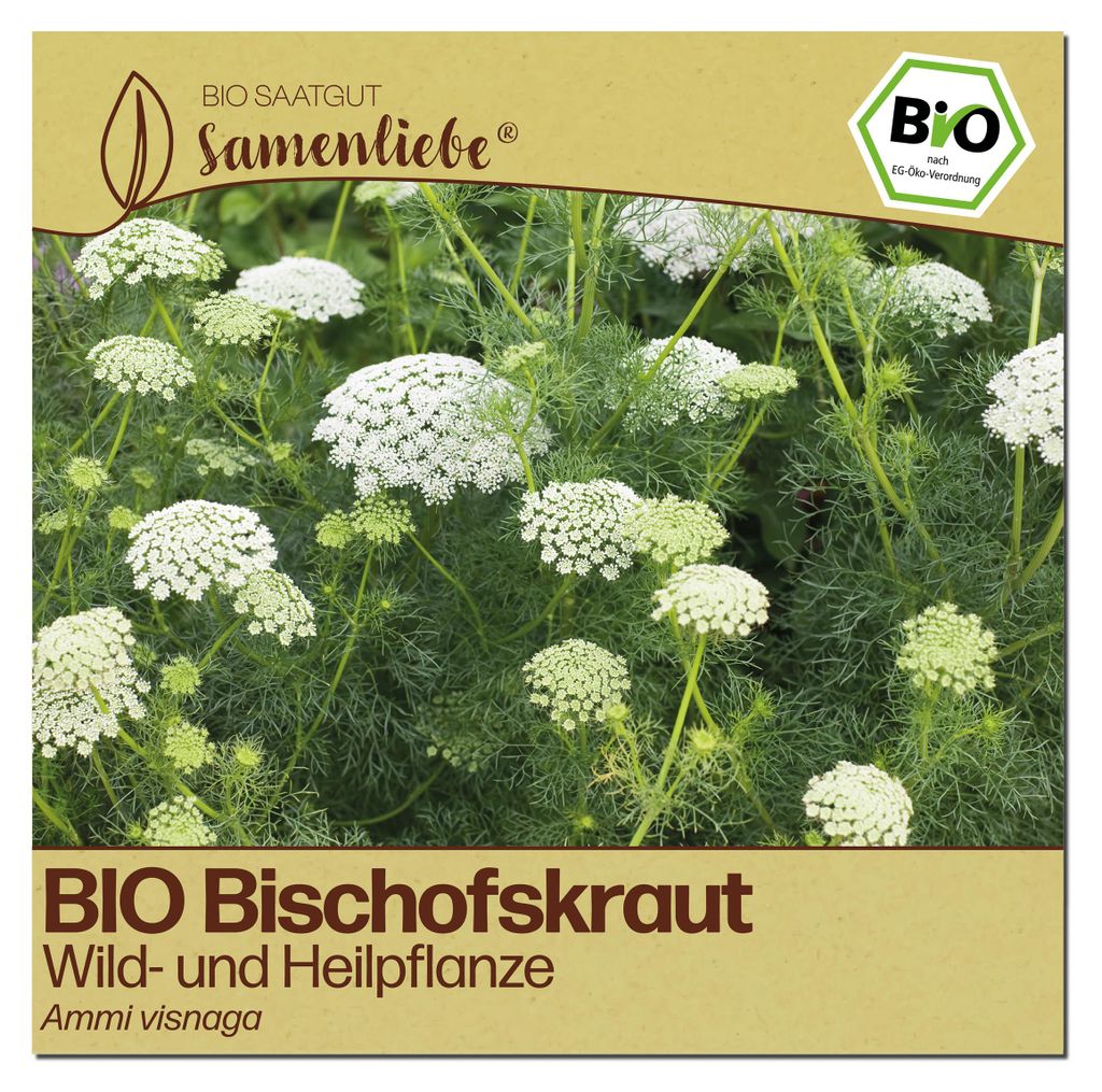 Samenliebe  Bischofskraut Samen | Wildblume - samenfestes  Produktbild 