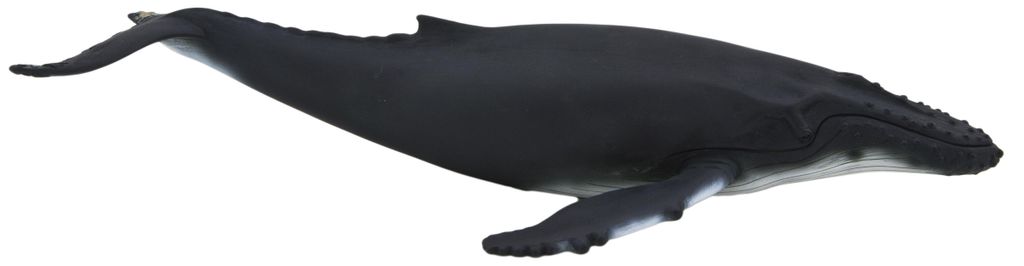Mojo Fun Humpback Whale, 3 rok / roky, SEALIFE, Šedá, Obrázok produktu 