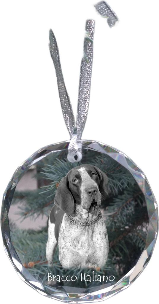 Italienischer Vorstehhund, Bracco Italiano - Kristallkugel mit Foto, Hundebild im Kristall, personalisierter Christbaumschmuck von Art-Dog.