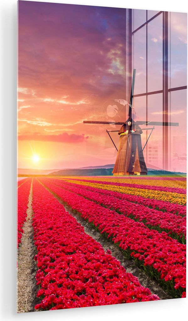 MuchoWow Glasbilder - Bilder auf Wandbild - Foto auf Glas Blumen - Tulpen - Blumenfeld - Mühlen - Holland 40x60 cm Wanddekoration aus Glas - Acryl...