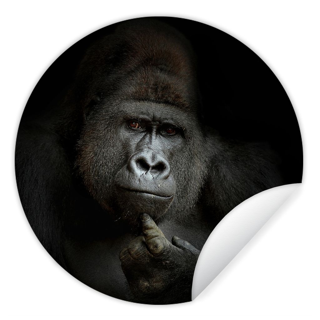 MuchoWow Runde Wandtattoo - Wandsticker Tapete Aufkleber Gorilla - Affe - Tiere - Schwarz und weiß Ø 100 cm Selbstklebend und Repositionierbar ...