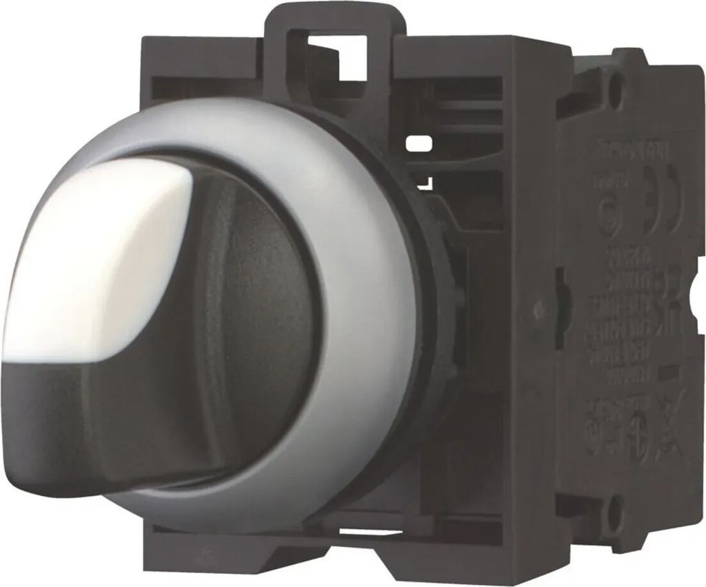 Bascule interrupteur Eaton 216518 pour réparer un bouton