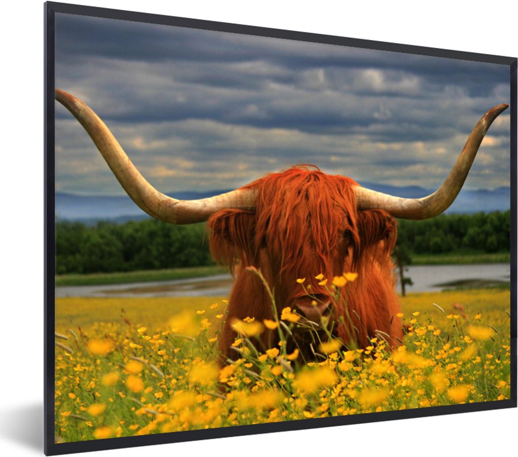 MuchoWow Gerahmtes Poster Schottischer Highlander - Tiere - Blumen 80x60 cm - Poster mit Schwarzem Bilderrahmen Wandposter Rahmen Foto Bilder - S...