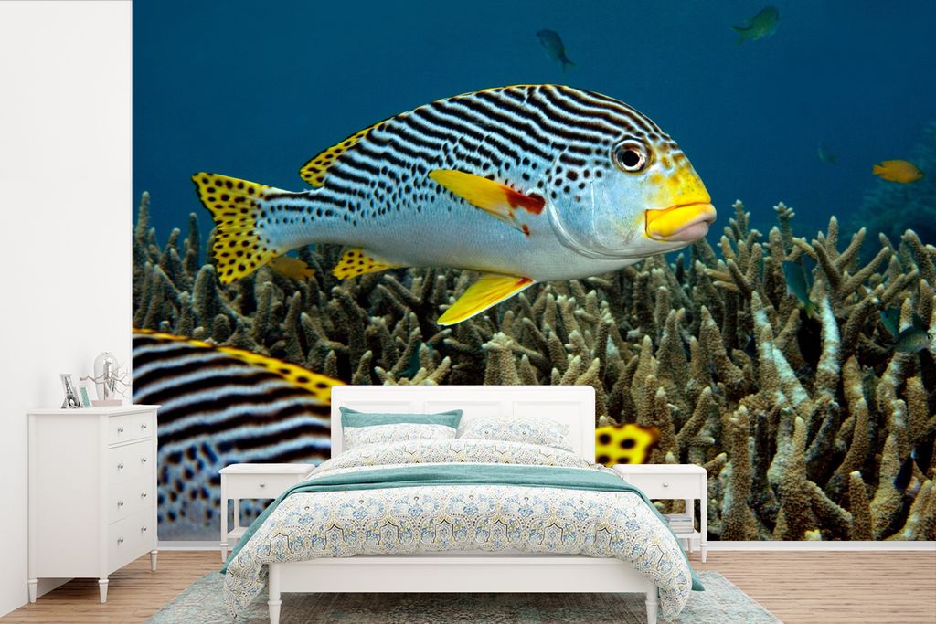 MuchoWow Fototapete für Wohnzimmer oder Schlafzimmer Wandtapete Vinyl Motivtapete Fisch - Boden - Meer - 450x300 cm - Gemusterte