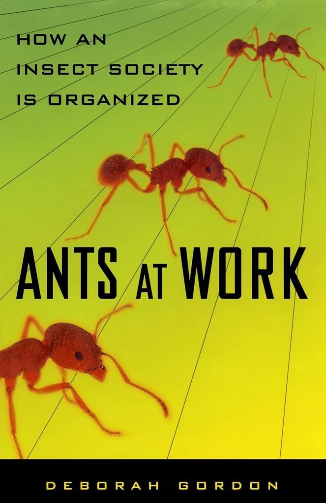 ISBN Ants At Work, Englisch, Taschenbuch für den Handel, 192 Seiten