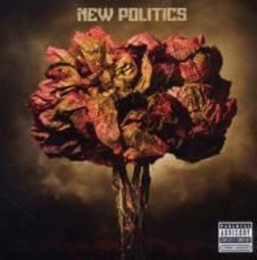 New Politics-New Politics