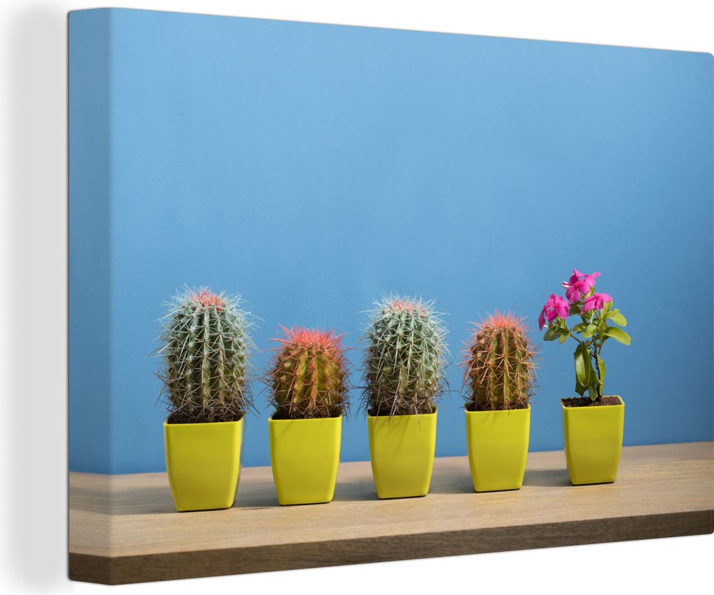 OneMillionCanvasses - Leinwandbilder - 140x90 cm, Blume neben Kakteen, Wandbilder Kunstdruck Wanddekoration - Foto auf Leinwand - Gemälde auf Ho...