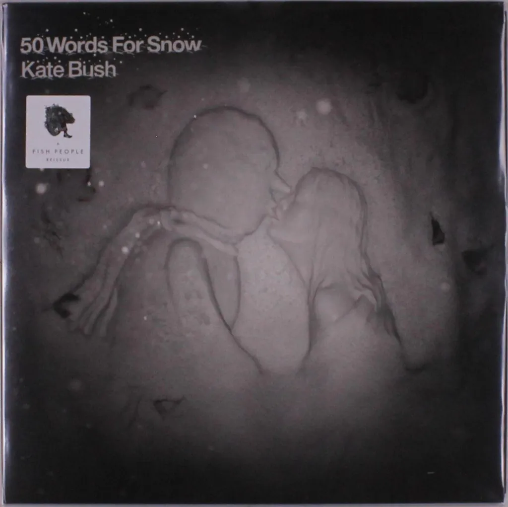 Kate Bush 50 Words For Snow Remaster 2018 Album Vinyle Noir Audiophile