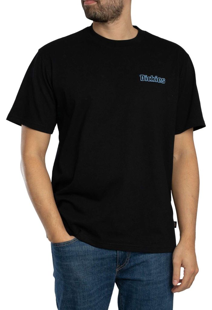 Dickies Fairland Rückengrafik-T-Shirt, Schwarz XXL