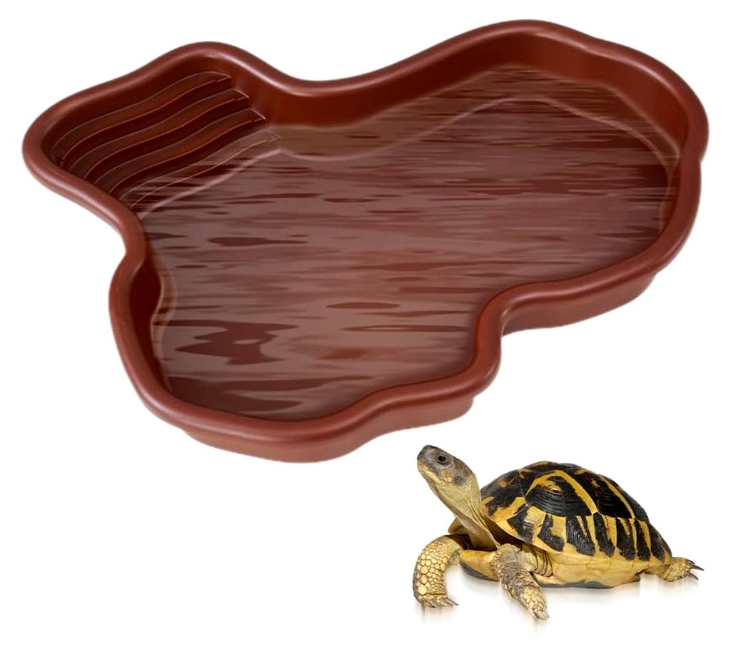 Wasserschale für Schildkröten und Reptilien, rutschfeste Futterschale mit Rampe, Tierbecken für Eidechsen und Geckos