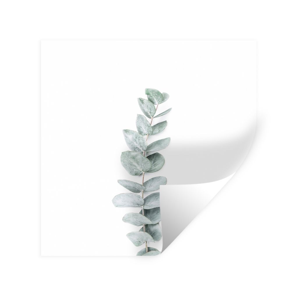 MuchoWow Wandtattoo Wandsticker Wandaufkleber Pflanze - Grün - Natur - Weiß 50x50 cm Selbstklebend und Repositionierbar - Selbstklebend - Fotot...