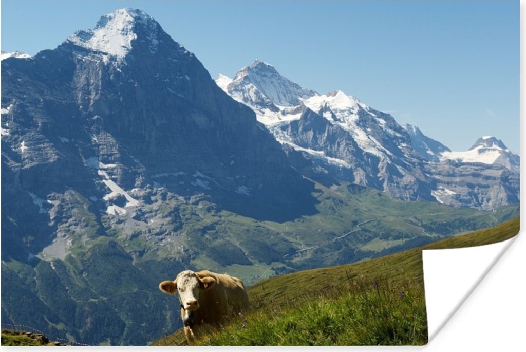 MuchoWow Poster Schweizer Kuh vor dem Eiger in der Jungfrauregion 120x80 cm - Bilder