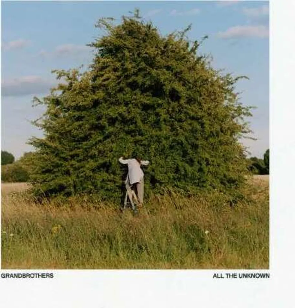 All The Unknown Grandbrothers Vinyle LP Édition Standard Son Haute Fidélité
